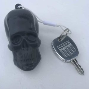 Skull keyring pic.jpg